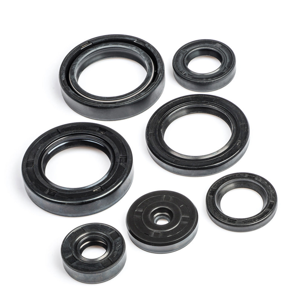 Oil Seal Kit for Honda CB Trigger-First Quality