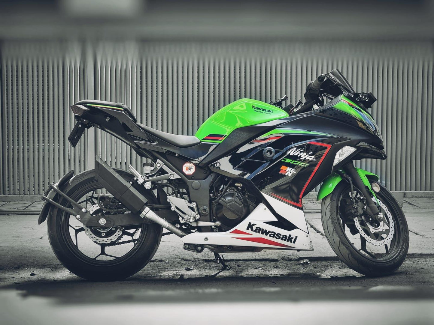 Ninja 250R / 300 / 400 Barrel Exhaust