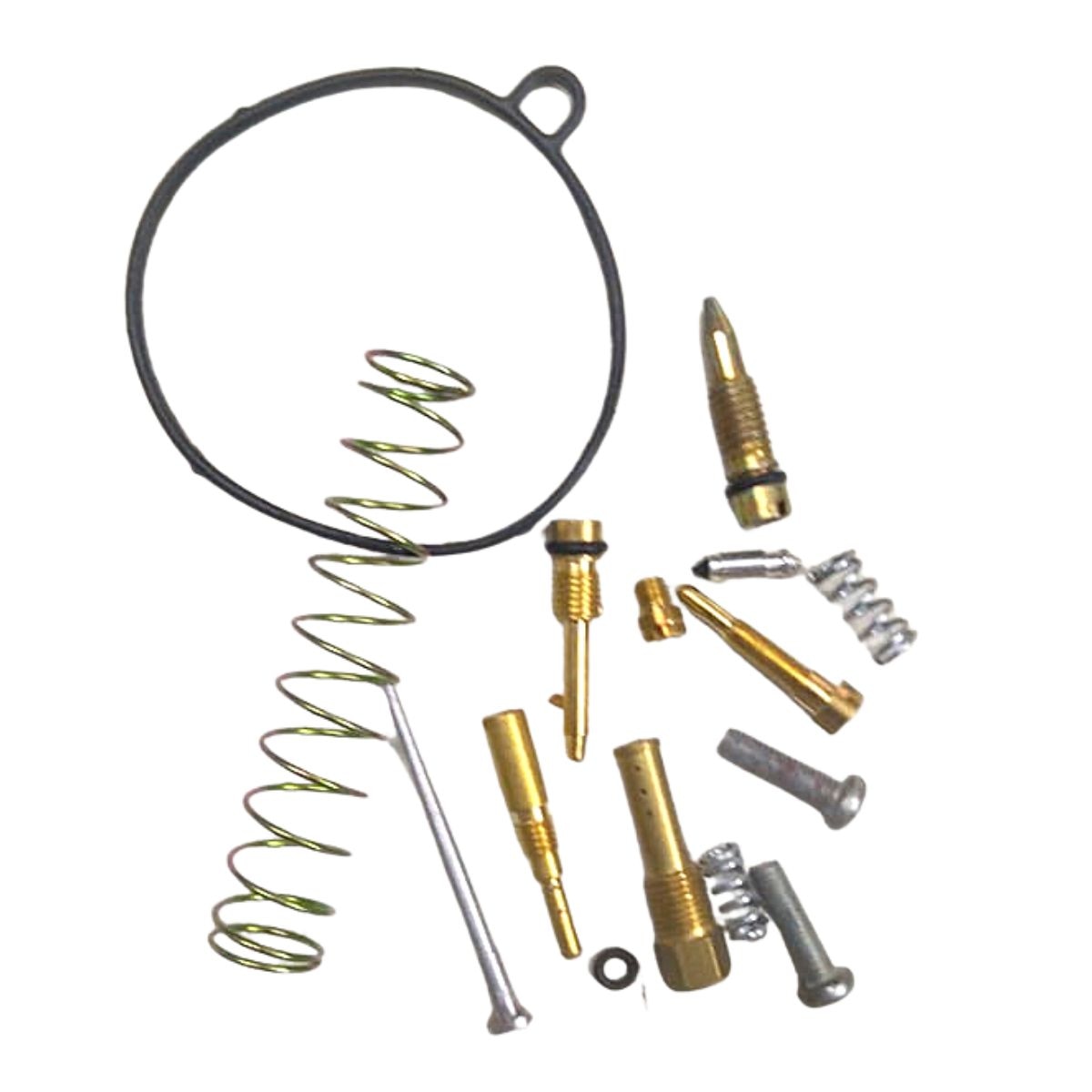 Carburetor Repair Kit for Bajaj Discover 100 | XCD 135 | Old Model